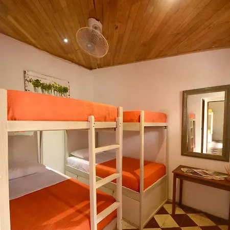Hostal Papaya Getsemani
